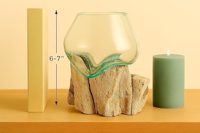 OMA Molten Glass on Driftwood – Hand Blown Vase, Terrarium, or Planter for Coastal & Boho Home Décor Centerpieces (6" - 7" High)