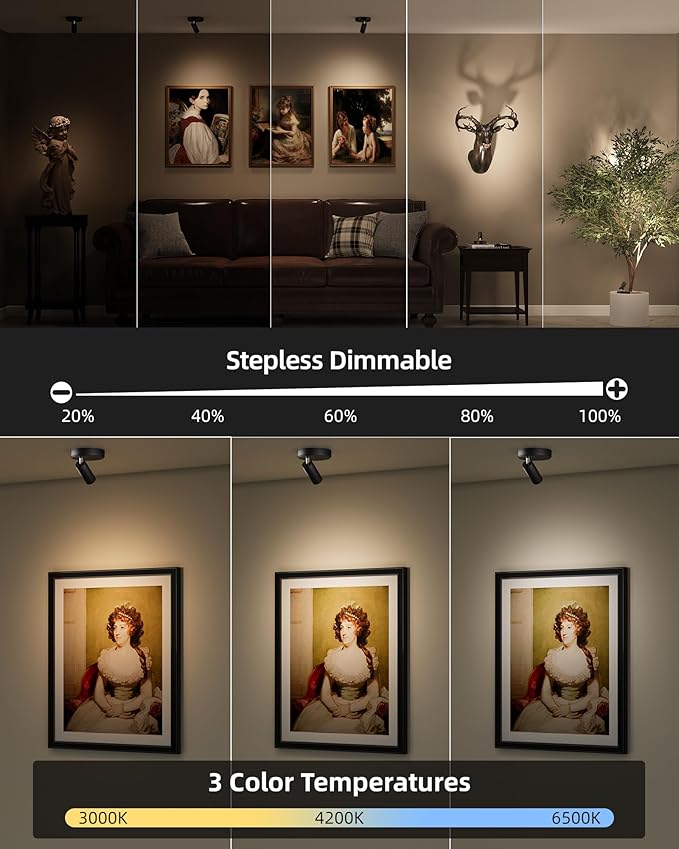 EZVALO Spotlights Indoor with Remote, 5500mAh Rechargeable Picture Lights, Wireless LED Uplighting with Timer＆Dimmable, 3CCT, Display Lights for Plant Painting, Artwork, Accent Lighting (2Pack-Black)