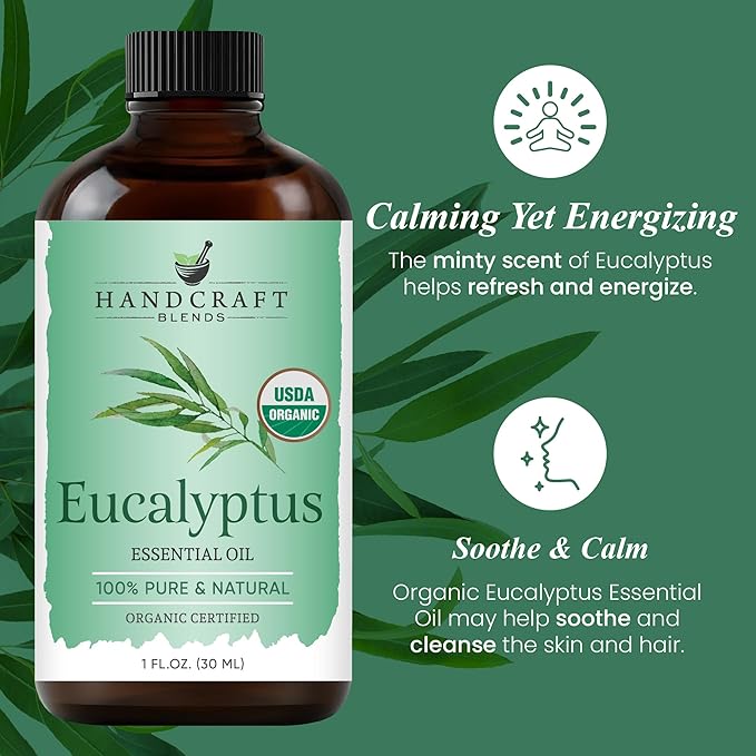 Handcraft Blends Organic Eucalyptus Essential Oil – 1 Fl Oz – 100% Pure and Natural – Premium Grade Essential Oil for Diffuser and Aromatherapy