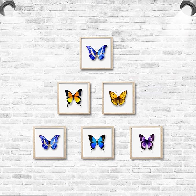 5x5 Small Shadow Box Frame , Display Case Box for Memorabilia, Medal, Wedding Memories, Crafts, Tickets and Photos, Picture Frame for Wall and Tabletop (6Packs-Natural Gray, 5x5)