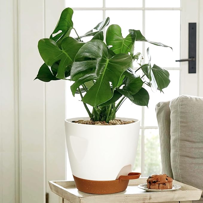 Uneed Indoor Self Watering Planters with Drainage Holes and Saucers, 7/6.5/6/5.5/5 Inch-5 Pots,for Indoor Plants, Herbs, Succulents (White)