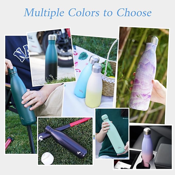 Insulated Water Bottles,17 oz Double Wall Stainless Steel Vacumm Metal Flask for Sports Travel,Mint