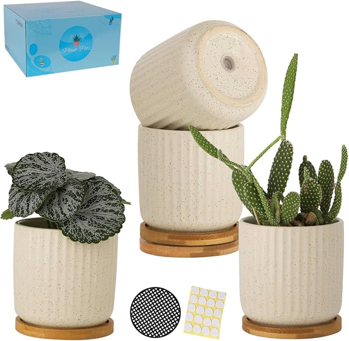 TAMAYKIM 4 Inch Ceramic Plant Pots with Drainage Holes, Modern Flower Planter with Saucer for Indoor Plants, Succulent, Cactus & Herbs, Beige, Set of 4 (Plants Not Included)
