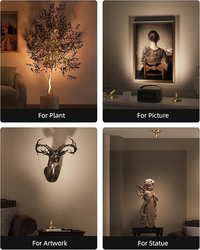 EZVALO LED Spotlight Indoor, 5500mAh Rechargeable Battery Picture Lights, Wireless Mini Art Accent Spot Lights with Remote, Uplighting Indoor for Plants Display Painting Artwork Portrait (1Pack-Gold)