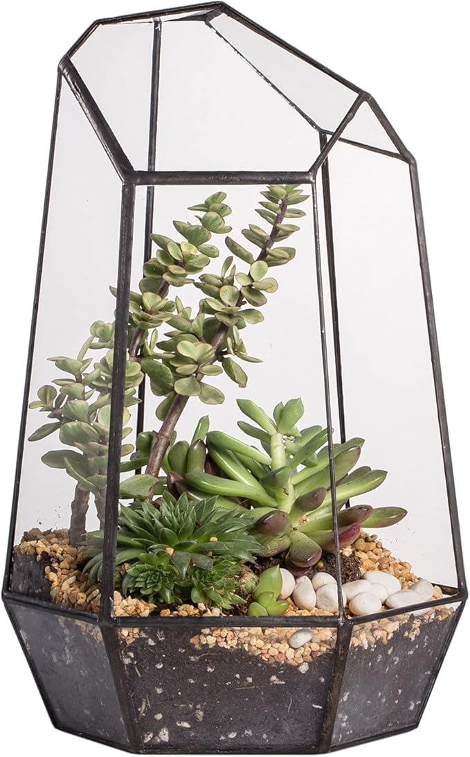 NCYP Geometric Glass Terrarium Planter for Succulent, Small Cacti, Black Irregular Opened Container Pot, Indoor Home Garden Office Tabletop Decor, 6.5" x 5.7" x 9.8" (No Plants, No Door)