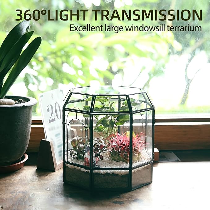Large Glass Terrarium Handmade, Centerpiece Display Box Gift Planter Containers Indoor Terrariums House for Succulent Cacti Air Plants Miniature Fairy Garden