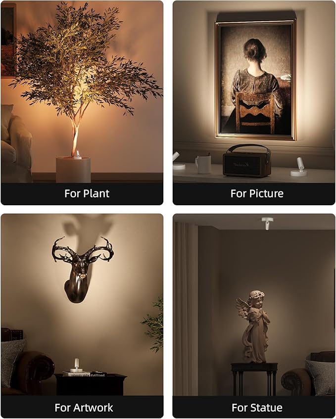 EZVALO Spot Lights Indoor,5500mAh Rechargeable Plants Spotlights with Remote,Wireless Mini Art Accent Spot Lights with Timer＆Dimmable, 3CCT, Uplights Indoor for Plants,Display,Artwork(4Pack-White)