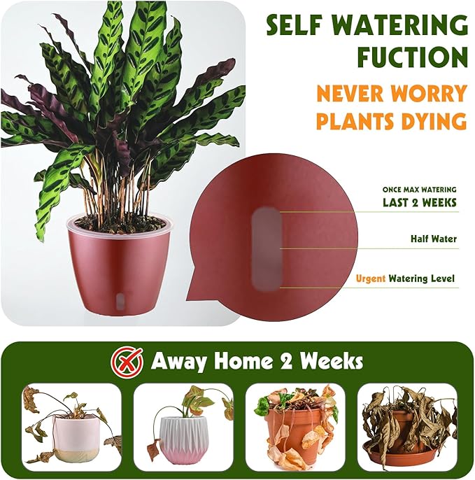 Self Watering Pots for Indoor Plants, 6-Pack 5'' Self Watering Planter with Drainage Holes, Small African Violet Pots with Water Indicator, Clear Wick Orchid Pot, Rose Gold