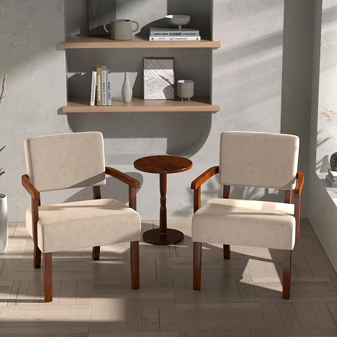 Accent Chair, Cat-Scratch Velvet Living Room Chairs Oversize with Soft Seat and Armrests for Dinning Room Bedroom Reading Room Waiting Room