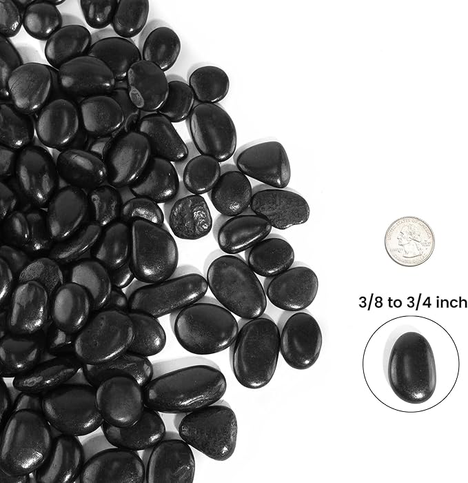 6 LBS River Rocks, StoneCreek, Decorative Garden Stones for Plant Landscaping, Polished Gravel Filler Pebbles for Home Decoration, Vases, Succulents, Flower Beds and Fish Tanks (Black, Medium)