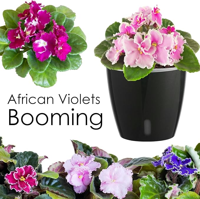 Self-Watering Pots for Indoor Plants, 6-Pack 6.7'' Self Watering Planter with Drainage Holes, Small African Violet Pots with Water Indicator, Clear Wick Pot, Black