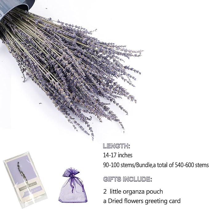 6 Packs Natural Dried Lavender Flowers Bouquet with Stems (14-17 Inches, 540-600 Stems Total) - Home Fragrance for Drawers, Wedding Decor & Photography Props, DIY Crafts Supplies & ,Gifts for Her