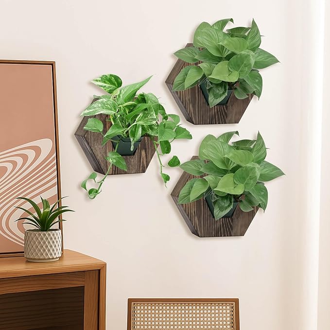 Hexagonal Wooden Wall Planter, Self Watering Living Vertical Planter Indoor, Wooden Frame Planter Wall Decoration Home Office,2pc Walnut