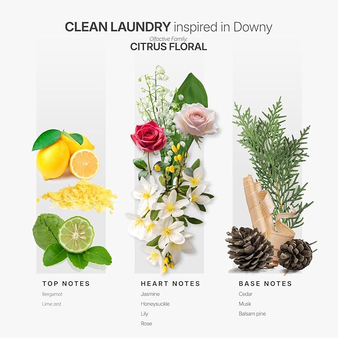 Aromaplan Scents, Clean Smelling Essential Oils, Clean Laundry Inspired by D. (5 Fl Oz /148ml)-Fresh Scent Essential Oil for Diffuser, USA Fragrance, Bigger Bottle, Bolder Aroma & Longer Lasting