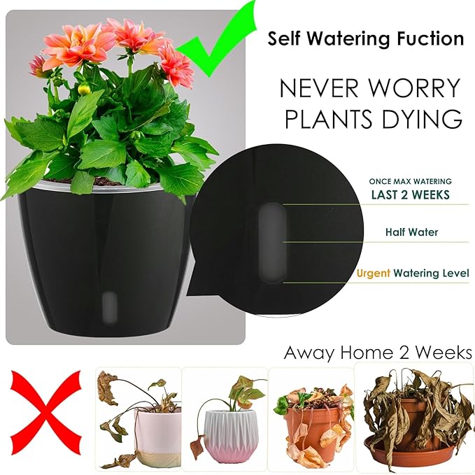 Self-Watering Pots for Indoor Plants, 6-Pack 6.7'' Self Watering Planter with Drainage Holes, Small African Violet Pots with Water Indicator, Clear Wick Pot, Black