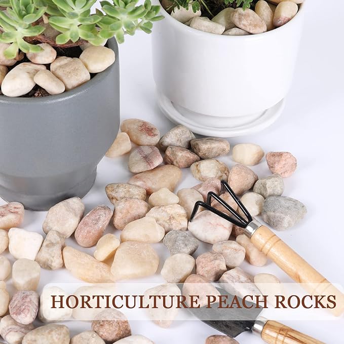 5lbs Natural River Rocks, Polished Pebbles for Plants Garden, 1-2 inch Decorative Peach Stones, Ideal for Fish Tank, Vases, Crafting, Home Decor and Garden Landscaping Rocks,Peach