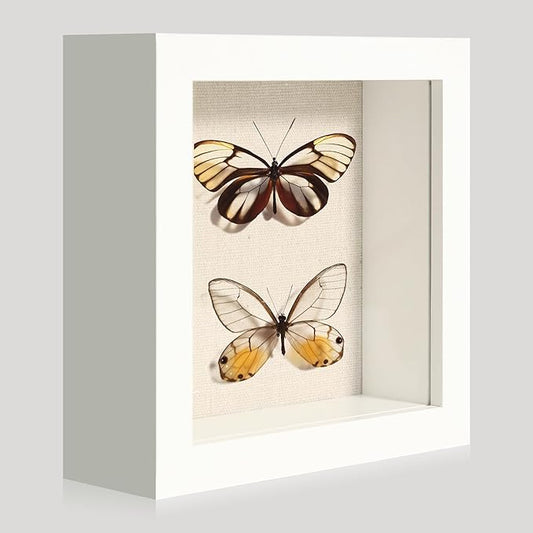 5x5 Small Shadow Box Picture Frame Display Case with Soft Linen Back, White Wooden Memory Shadow Box Frame with Tempered Glass Cover for Wall or Tabletop Display