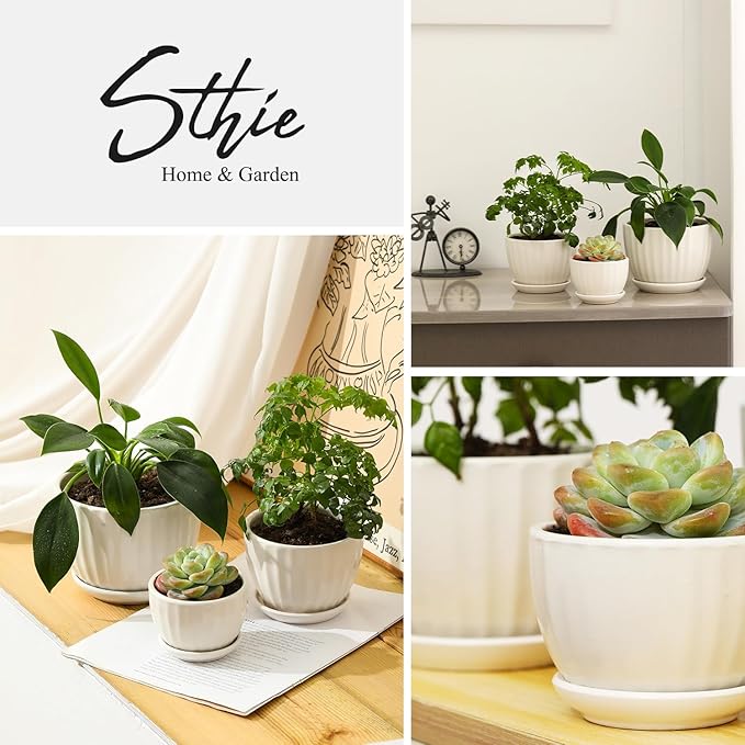 Ceramic Plant Pots with Drainage Holes and Saucers, Round White Flower Pots for Indoor Plant, Diameter 3.3/4.3/5.5 Inches Small Flower Planters Set of 3