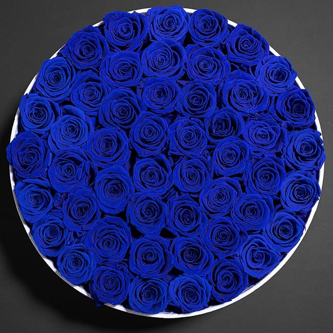 50 Piece Roses in a Velvet Box, Flowers for Delivery, Presereved Flowers Birthday Gifts for Women Mom and Wife (Royal Blue)
