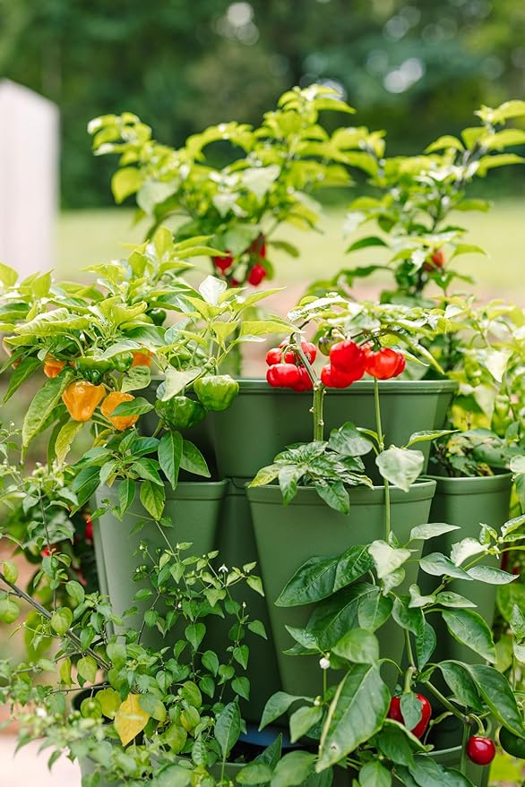 Greenstalk Patented Large 5 Tier Vertical Garden Planter with Patented Internal Watering System Great for Growing a Variety of Strawberries, Vegetables, Herbs, & Flowers (Evergreen)