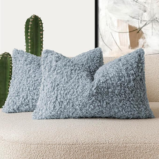 Foindtower Set of 2 Curly Teddy Wool Pillow Covers Decorative Boucle Textured Lumbar Throw Pillow Faux Fur Sherpa Pillowcases Sheepskin Fuzzy Cushion Case for Sofa Bedroom Car 12"x20" Misty Blue
