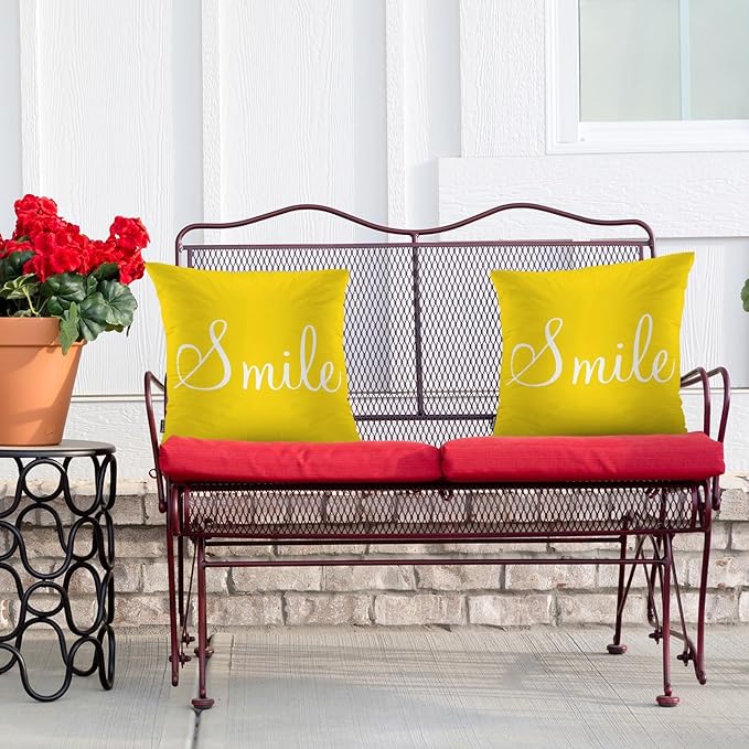 Swono Smile Decorative Throw Pillow Covers Pack of 2, Funny Word Pillow Cushion Cases 18"X18", Square Pillowcases Decoration for Sofa Couch Bedroom Living Room Car, Sunshine Yellow