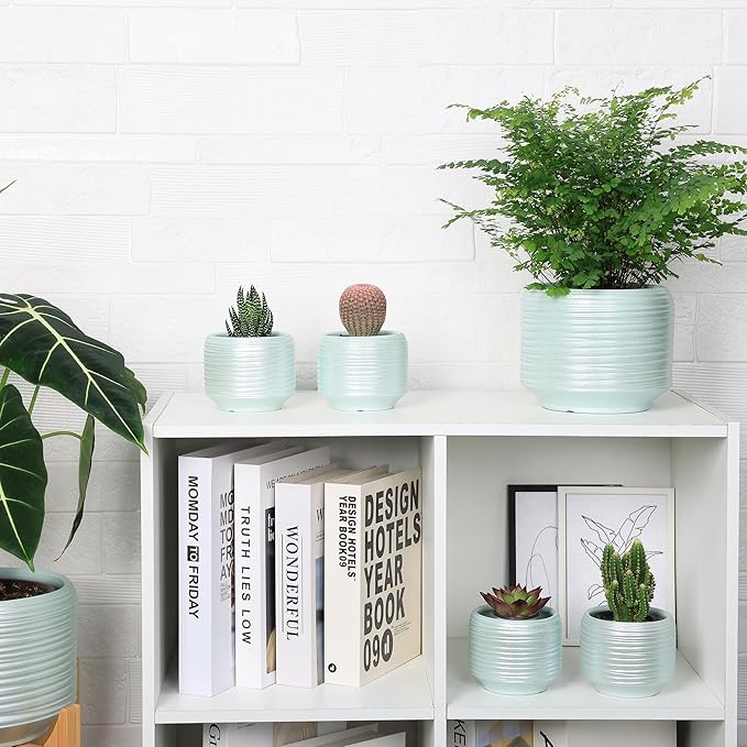 Mini Succulent Planter Set – 3.7 Inch Ceramic Pots with Drainage for Indoor Plants, Small Decorative Flower Pots for Cactus and House Plants, Set of 4