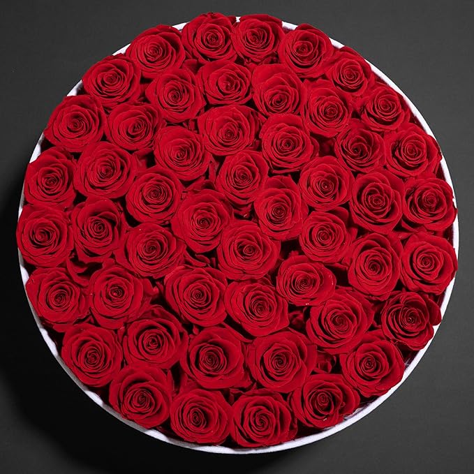 50 Piece Roses in a Velvet Box, Flowers for Delivery, Presereved Flowers Birthday Gifts for Women Mom and Wife (Red)