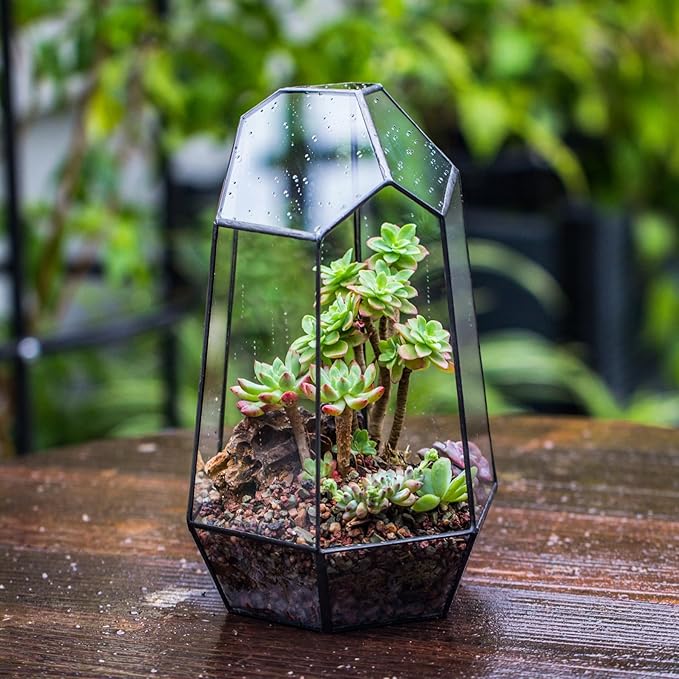 NCYP Geometric Glass Terrarium Planter for Succulent, Small Cacti, Black Irregular Opened Container Pot, Indoor Home Garden Office Tabletop Decor, 6.5" x 5.7" x 9.8" (No Plants, No Door)