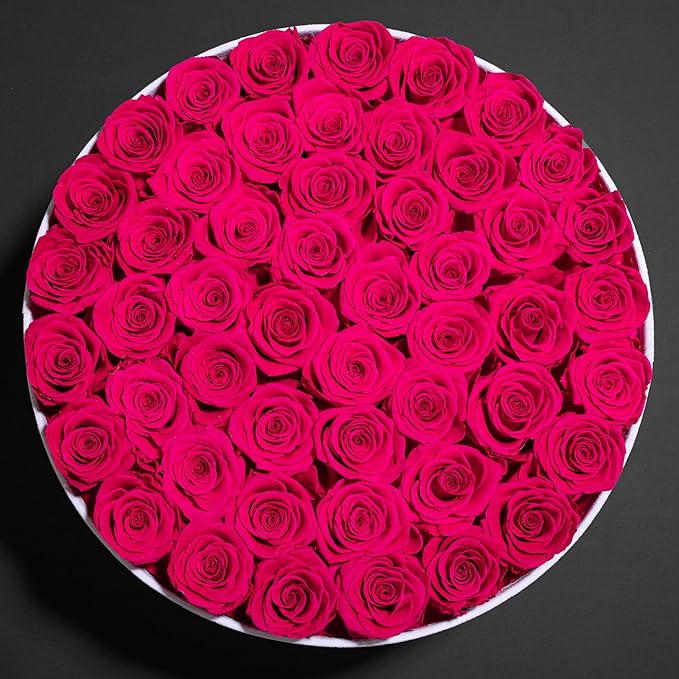 50 Piece Roses in a Velvet Box, Flowers for Delivery, Presereved Flowers Birthday Gifts for Women Mom and Wife (Radiant Pink)