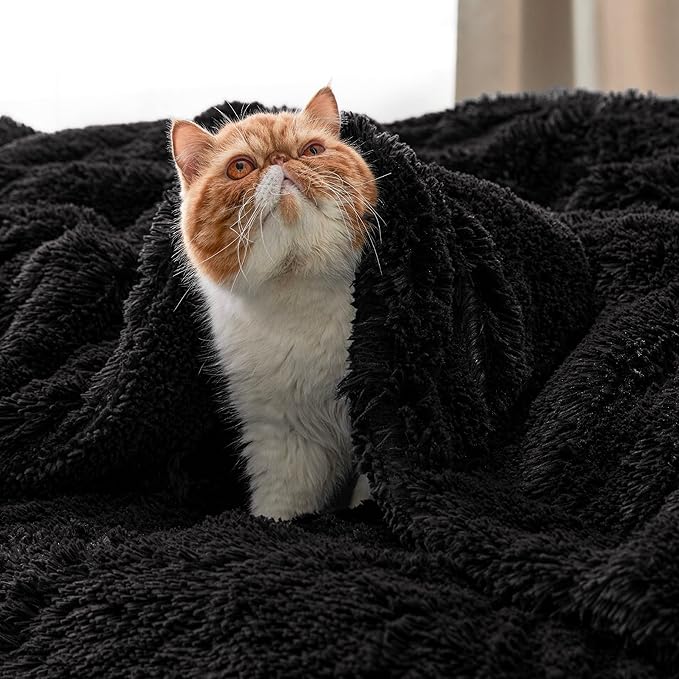 Bedsure GentleSoft Fluffy Black Throw Blanket Gifts for Men, Black Decor Soft Cozy Fuzzy Plush Minky Thick Warm Sherpa Fleece Faux Fur Throws for Couch Bed, Furry Blanket Gifts for Mom Dad, 50x60