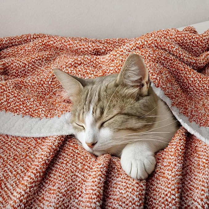 MIULEE Fall Burnt Orange Super Soft Throw Blanket for Bed, Twin Size Cozy Fluffy Warm Blankets Knit Blankets for Couch, Sofa, Chair, Living Room, Camping, Picnic, 60 x 80 inch