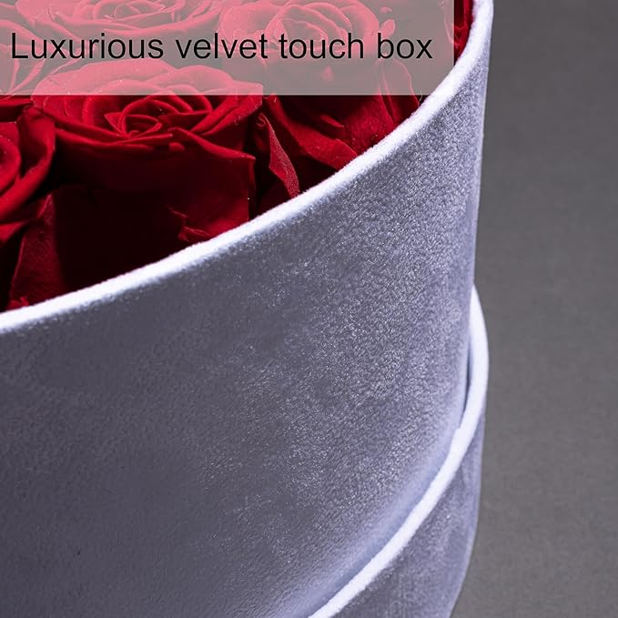 50 Piece Roses in a Velvet Box, Flowers for Delivery, Presereved Flowers Birthday Gifts for Women Mom and Wife (Red)