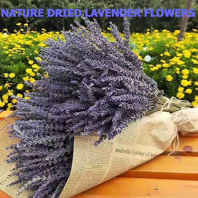 6 Packs Natural Dried Lavender Flowers Bouquet with Stems (14-17 Inches, 540-600 Stems Total) - Home Fragrance for Drawers, Wedding Decor & Photography Props, DIY Crafts Supplies & ,Gifts for Her