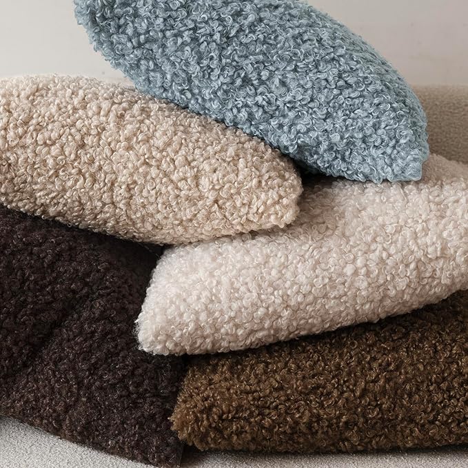 Foindtower Set of 2 Curly Teddy Wool Pillow Covers Decorative Boucle Textured Lumbar Throw Pillow Faux Fur Sherpa Pillowcases Sheepskin Fuzzy Cushion Case for Sofa Bedroom Car 12"x20" Misty Blue