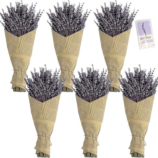 6 Packs Natural Dried Lavender Flowers Bouquet with Stems (14-17 Inches, 540-600 Stems Total) - Home Fragrance for Drawers, Wedding Decor & Photography Props, DIY Crafts Supplies & ,Gifts for Her