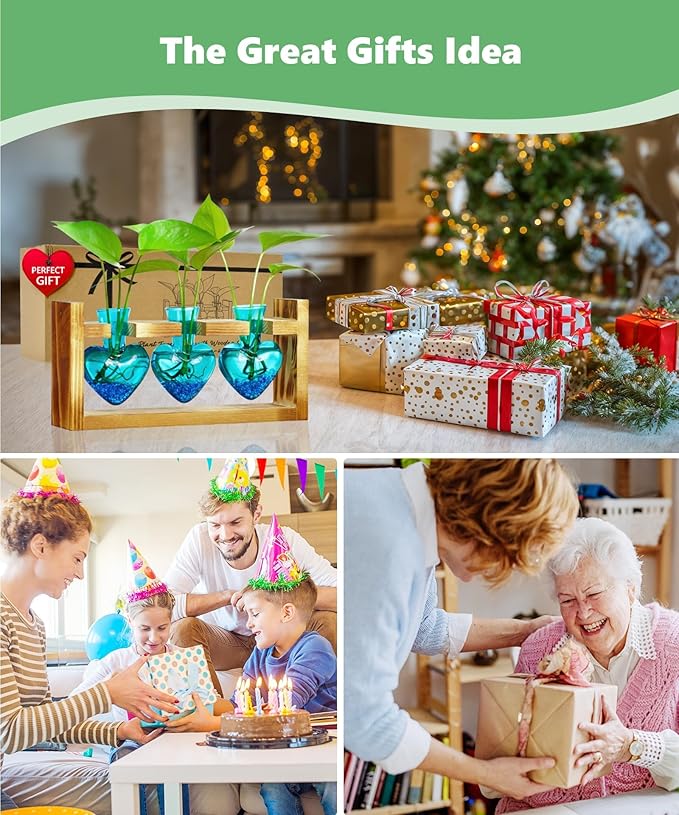 Nacome Plant Terrarium for Office Decor: Birthday Gifts for Plant Lovers Women Mom Wife - Wooden Stand Tabletop Planter 3 Bulb Glass Vase Heart Shaped for Hydroponics Indoor Home