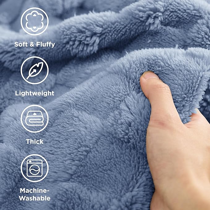 Bedsure GentleSoft Twin Blanket for Bed Ashley Blue - Super Soft Cozy Blankets for Women Men Girls, Cute Fuzzy Fleece Throws for Bedroom Couch, 60x80 Inches