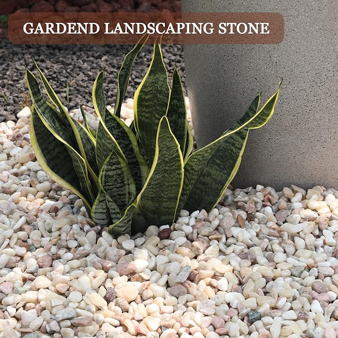 5lbs Natural River Rocks, Polished Pebbles for Plants Garden, 1-2 inch Decorative Peach Stones, Ideal for Fish Tank, Vases, Crafting, Home Decor and Garden Landscaping Rocks,Peach