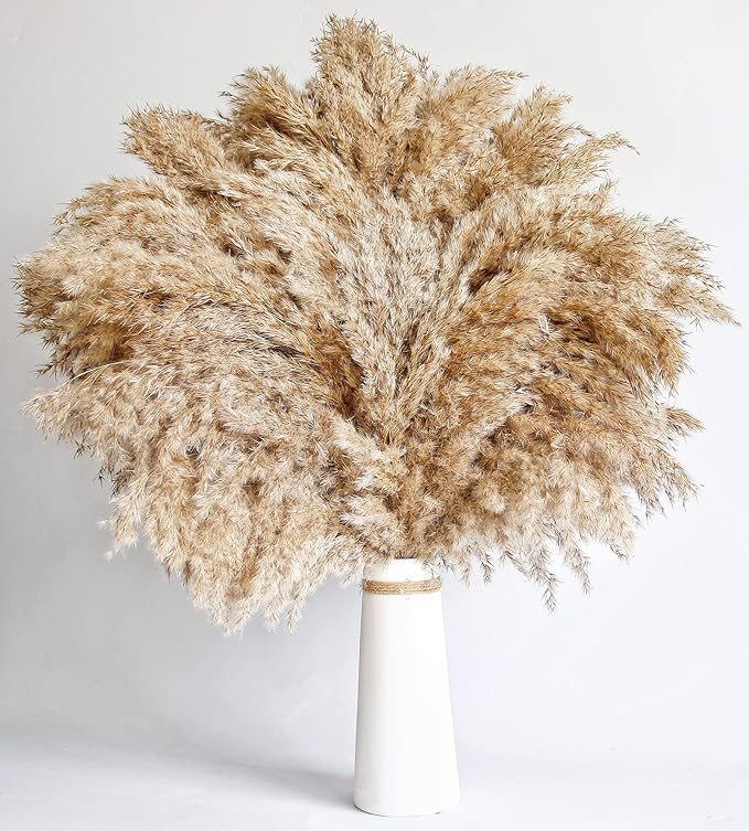 60 PCS Boho Decor, Fluffy Pompas Grass, Natural Dry Pampas Grass Small, Short Pampass Bulk for Boho Room Decor, Coffee Table Decor (17 inch )
