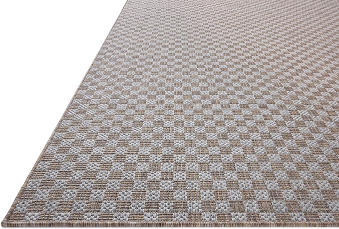 Loloi Amber Lewis Topanga Collection TOP-02 Natural/Silver 3'-11" x 5'-11" Indoor/Outdoor Accent Rug