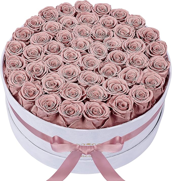 50 Piece Roses in a Velvet Box, Flowers for Delivery, Presereved Flowers Birthday Gifts for Women Mom and Wife (Dusty Rose)