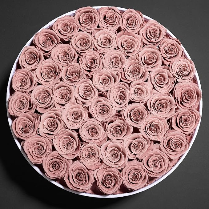 50 Piece Roses in a Velvet Box, Flowers for Delivery, Presereved Flowers Birthday Gifts for Women Mom and Wife (Dusty Rose)