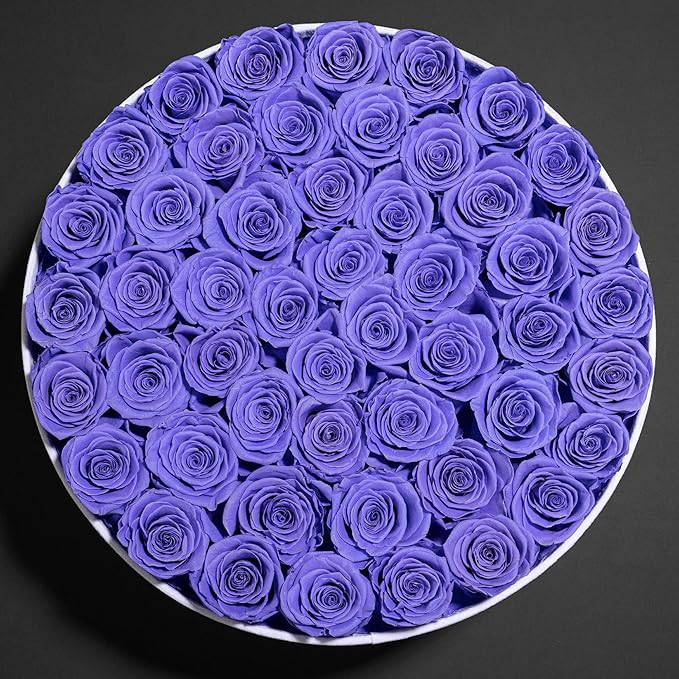 50 Piece Roses in a Velvet Box, Flowers for Delivery, Presereved Flowers Birthday Gifts for Women Mom and Wife (Light Purple)