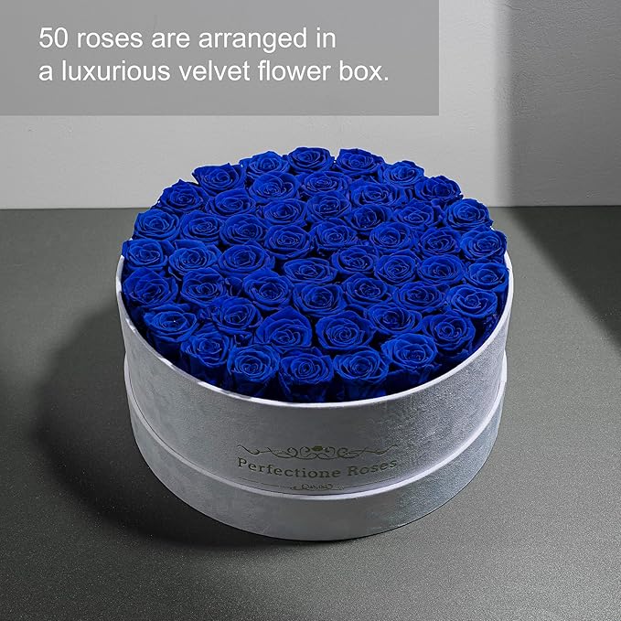 50 Piece Roses in a Velvet Box, Flowers for Delivery, Presereved Flowers Birthday Gifts for Women Mom and Wife (Royal Blue)
