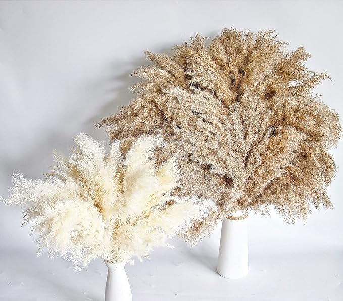 60 PCS Boho Decor, Fluffy Pompas Grass, Natural Dry Pampas Grass Small, Short Pampass Bulk for Boho Room Decor, Coffee Table Decor (17 inch )